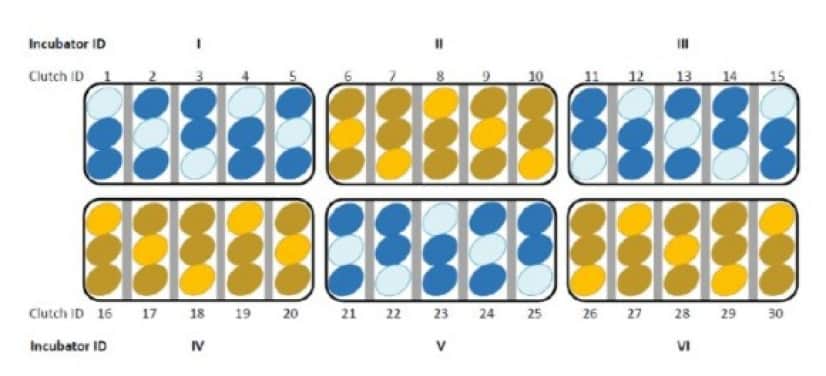1_e0
