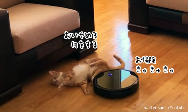 仕事熱心なロボット掃除機、床に落ちていた猫をソファの下に片づけてしまう