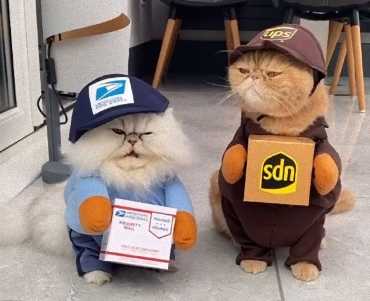猫の配達員