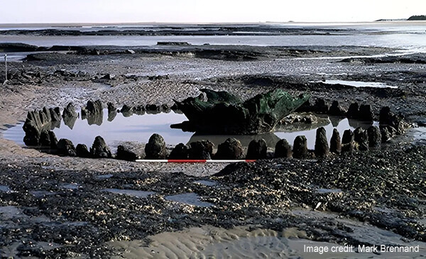 イギリスにある4000年前の遺跡「シーヘンジ」の謎が解き明かされるかもしれない