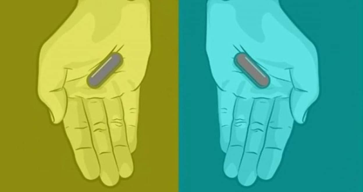 手に持ったカプセル 赤に見える それとも青に見える うっかり騙されちゃう脳の誤作動にロックオン カラパイア 手に持ったカプセル 赤に見える それとも青に見える うっかり騙されちゃう脳の誤作動にロックオン カラパイア