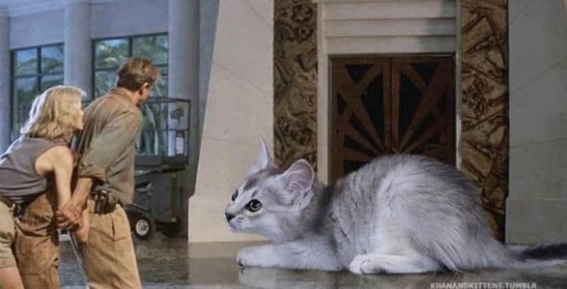 jurassic_park_dinosaurs_14_e