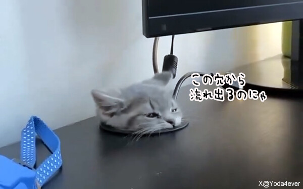 子猫が液体となってコードの穴から流れ出てくるぞ！