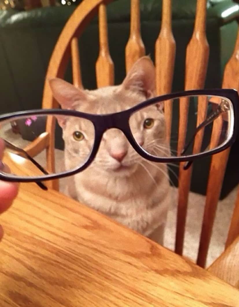9_e