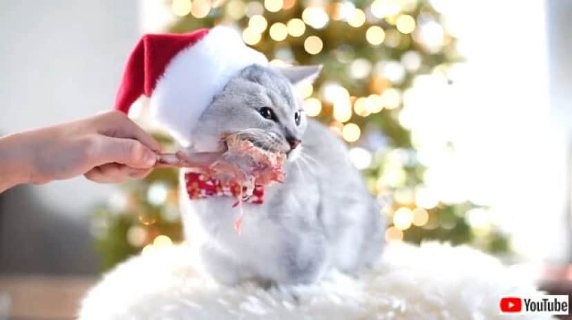 munchkincmas2_640