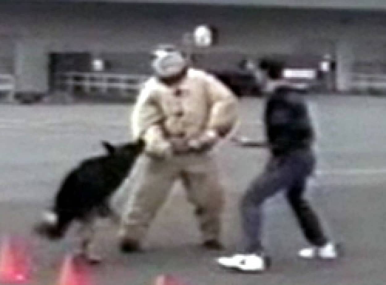 警察犬