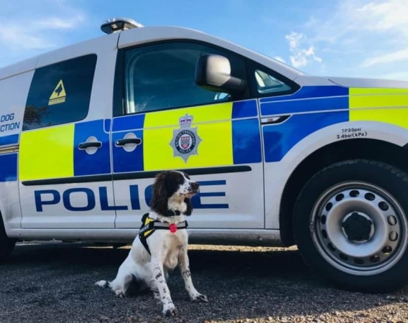 k99_e