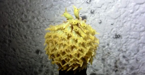 6_e21