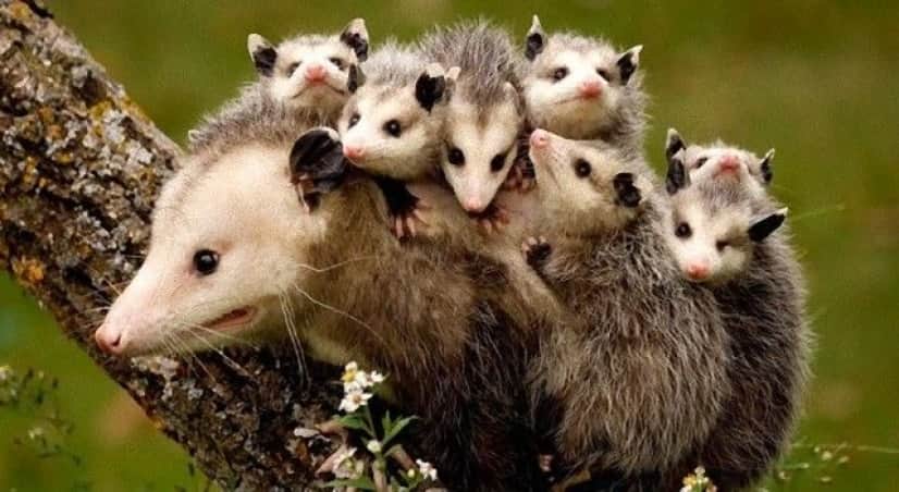 family4_e