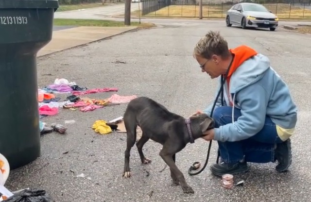 私にやさしくしてくれるの？ゴミ捨て場にいた犬が、助けに来た人に全力で愛情を示す