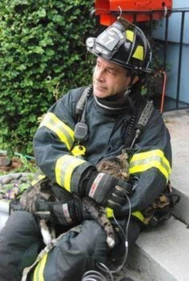 火事や高所も何のその 猫を救う消防士たちの雄姿 カラパイア 火事や高所も何のその 猫を救う消防士たちの雄姿 カラパイア