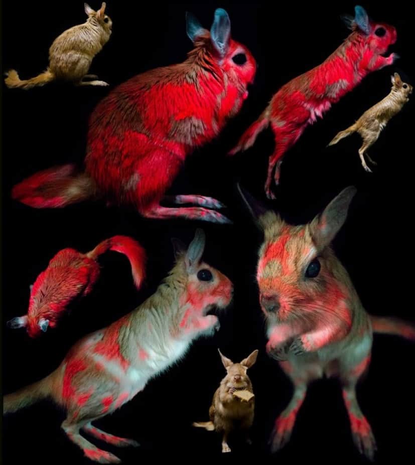 3_e4