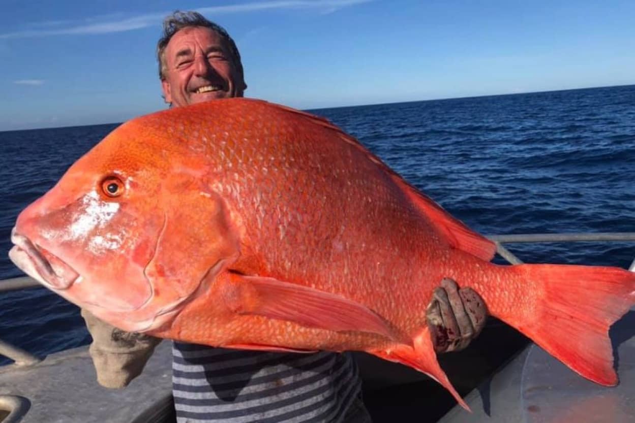 赤くて大きい 全長104センチ 体重22キロの巨大魚が釣り上げられる オーストラリア カラパイア