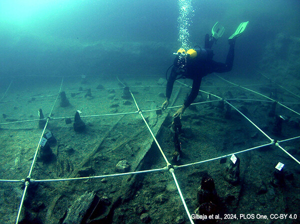 イタリアで7000年前の沈没船を発見、新石器時代の航海技術が明らかに