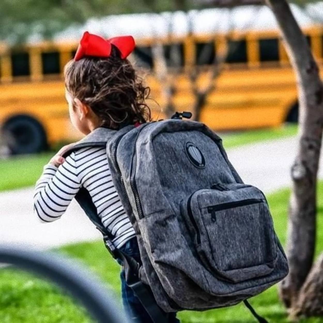 backpack cover_e