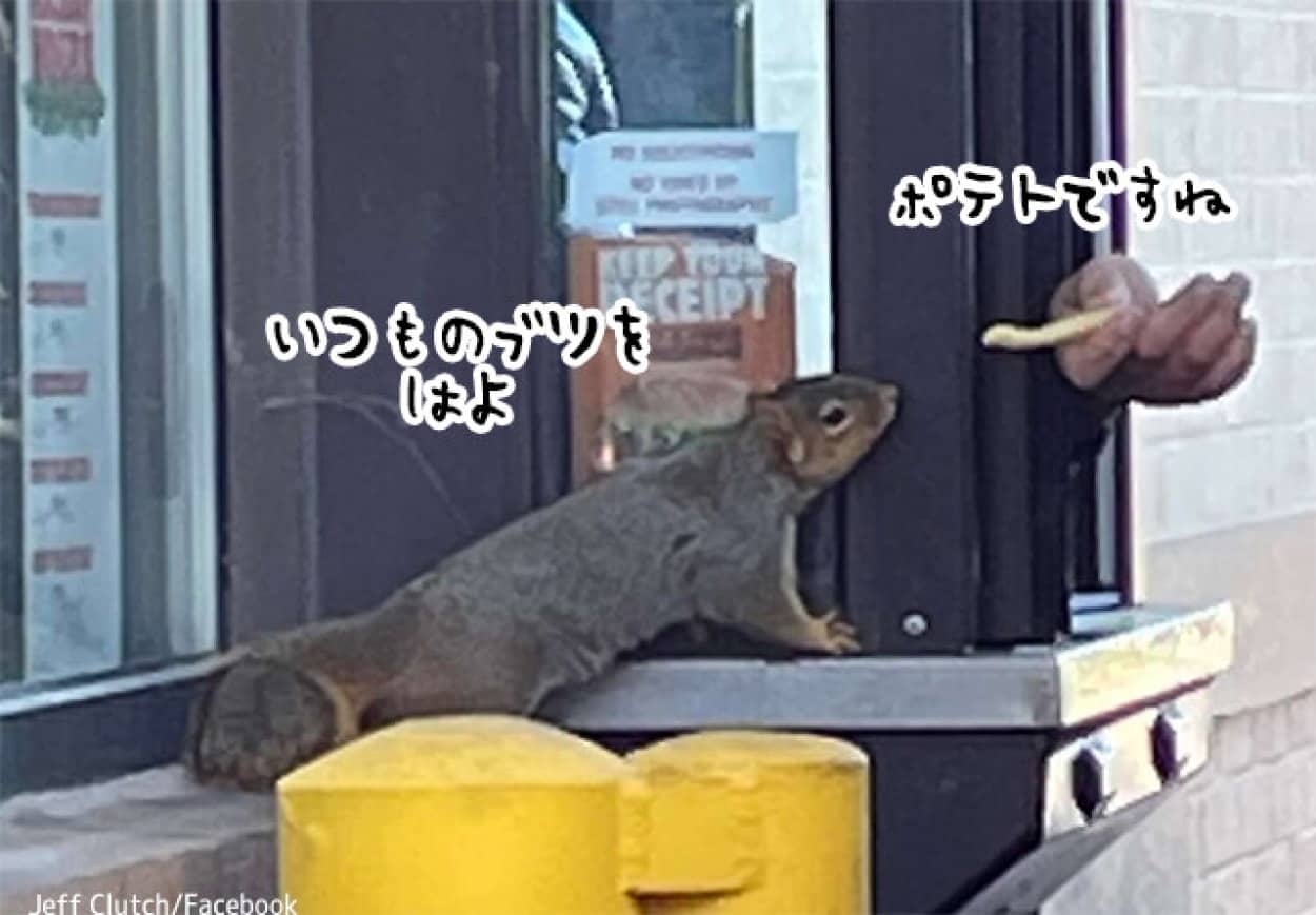 ¥Ð¡¼¥¬¡¼¥¥ó¥°¤Î¸ÜµÒ¤Ï¥ê¥¹
