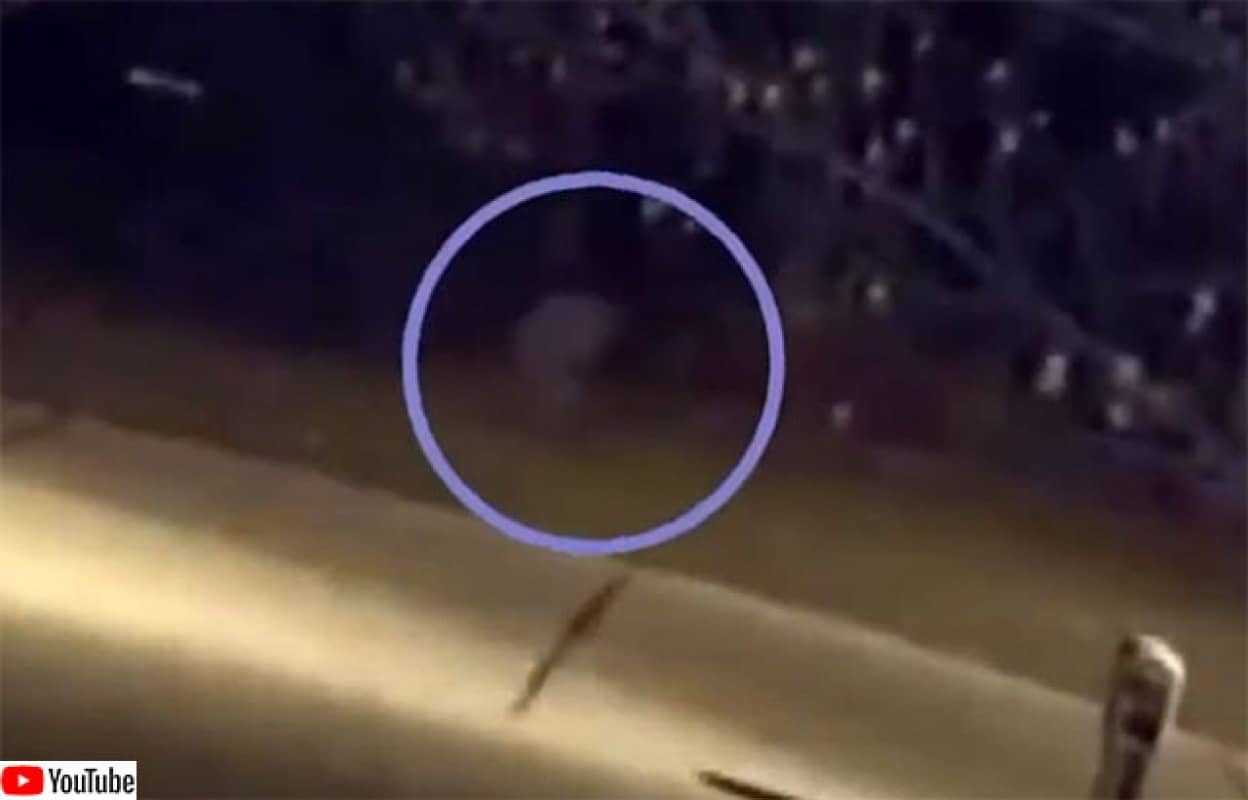 少女か?幽霊か?夜に走り去っていった謎の白い影