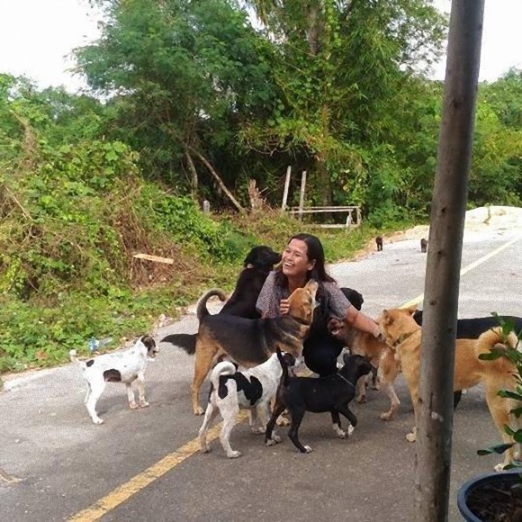 犬の恩返し いつも食べ物をくれる女性に必ずささやかなプレゼントを持ってくる子犬 タイ カラパイア 犬の恩返し いつも食べ物をくれる女性に必ずささやかなプレゼントを持ってくる子犬 タイ カラパイア