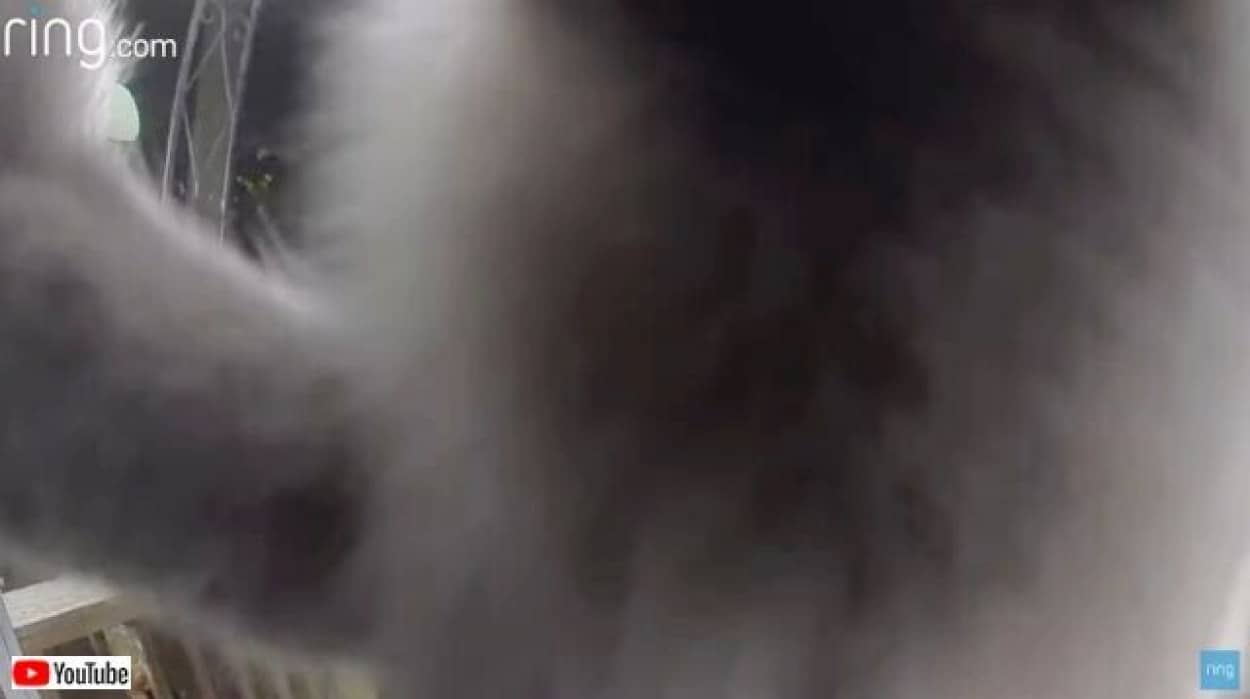 20220916_114147 (2)_batch