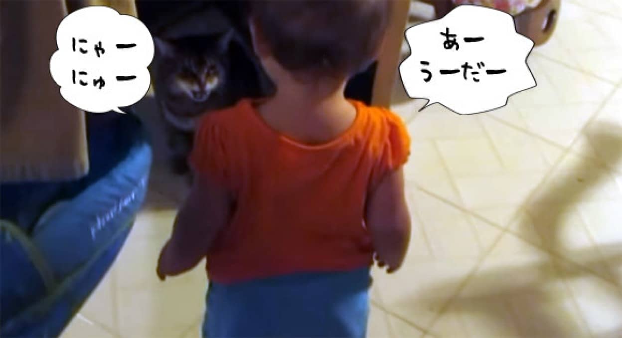お互いの言葉がわかるだと 猫と赤子の会話がノンストップ 止まらない カラパイア お互いの言葉がわかるだと 猫と赤子の会話がノンストップ 止まらない カラパイア