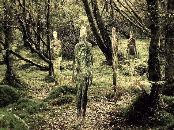 siluetas_bosque_rob_mulholland_05