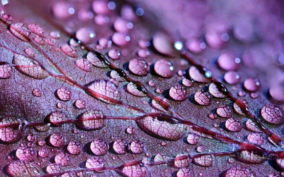 雨から電気を効率的に生成するデバイスが発明される（香港研究）