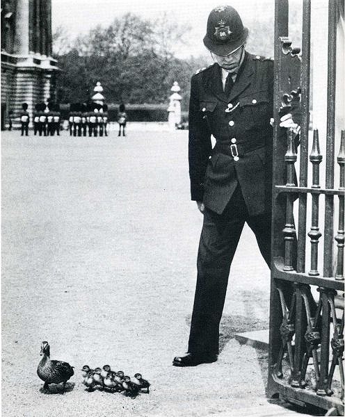 classic_life_magazine_photos_51