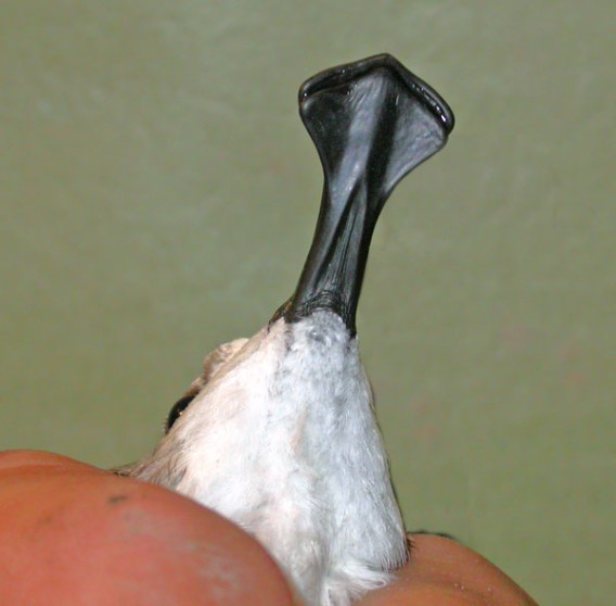 1_e5