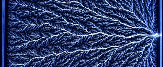 放電により描かれる無数に枝分かれした樹状の美しい模様 リヒテンベルク図形 動画あり カラパイア