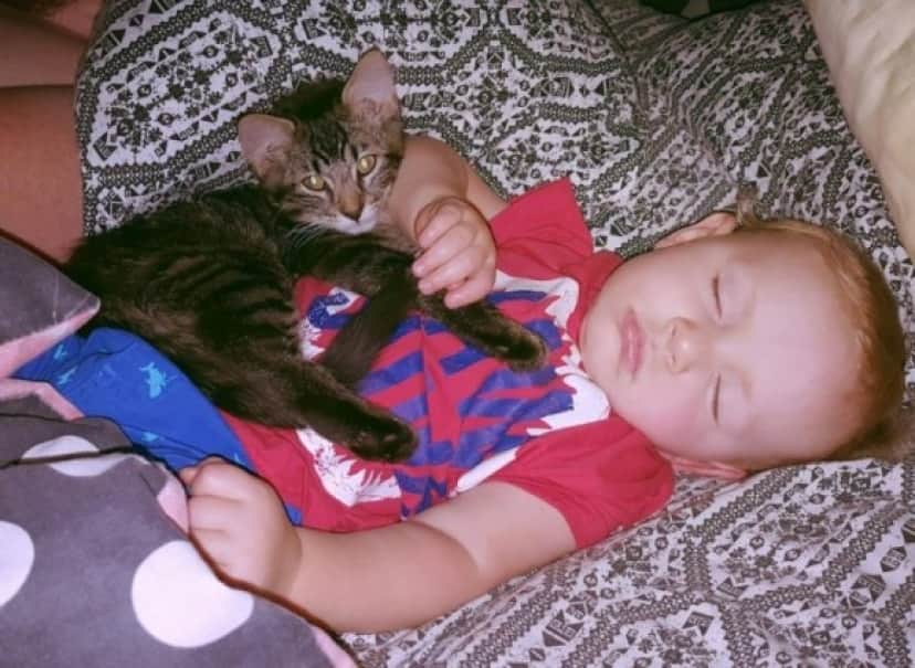 抱き合って眠るの 一家に救われた猫は毎日赤ちゃんの添い寝役をかって出た カラパイア 抱き合って眠るの 一家に救われた猫は毎日赤ちゃんの添い寝役をかって出た カラパイア