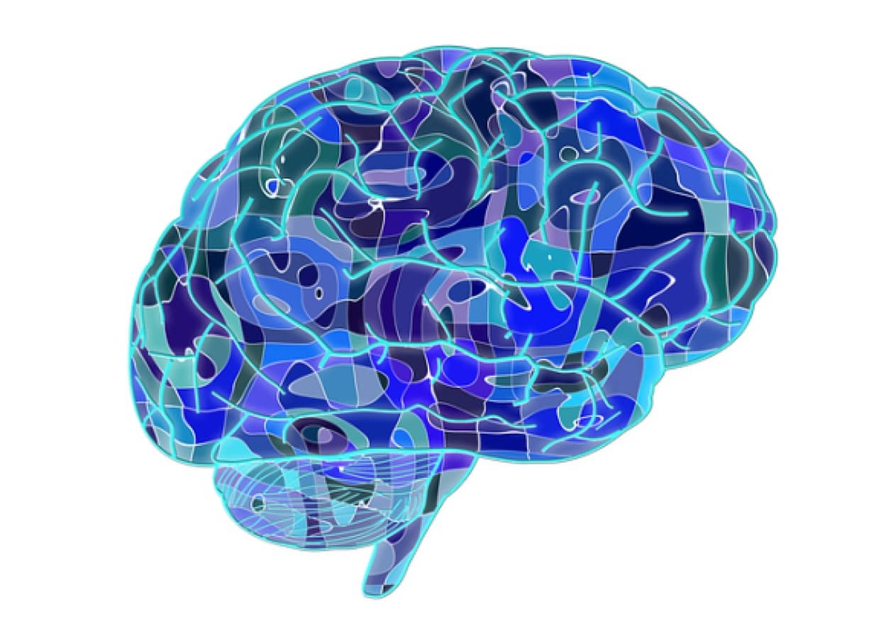 brain-951874_640_e