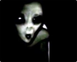 ブラジルで捕獲されたグレイタイプの宇宙人の肉声付映像 カラパイア