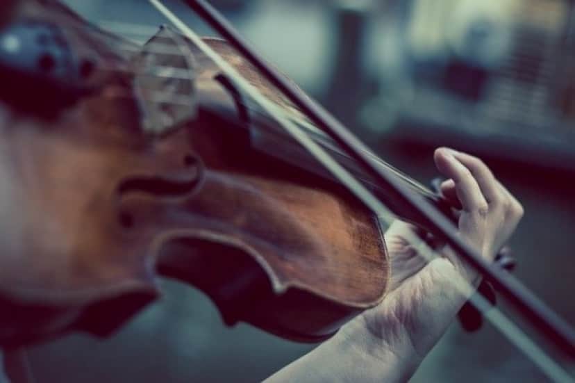 violin-374096_640_e
