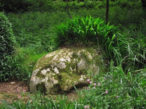garden_04