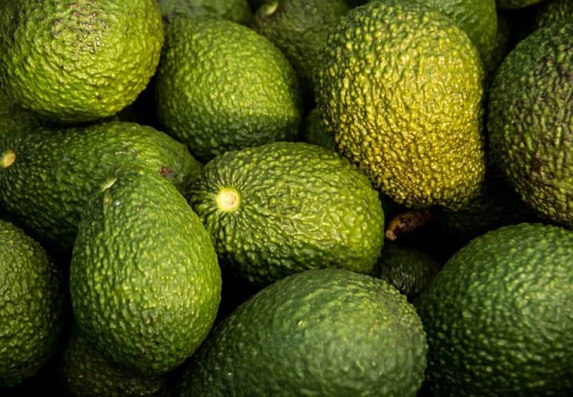 avocados-g71c87d8b8_640