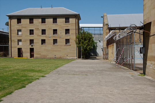 maitland1