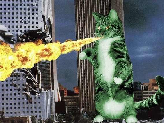 catzilla_atack_25_e