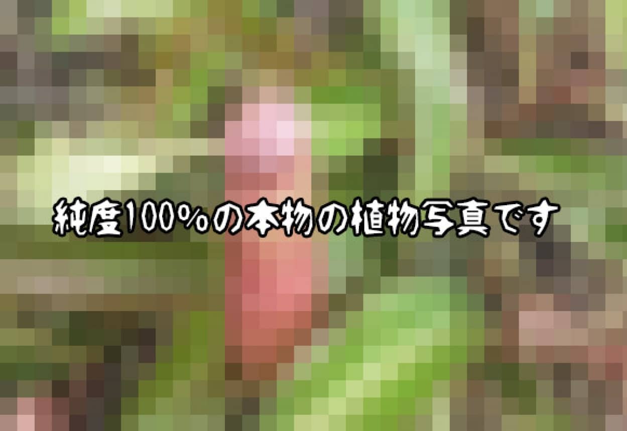 00