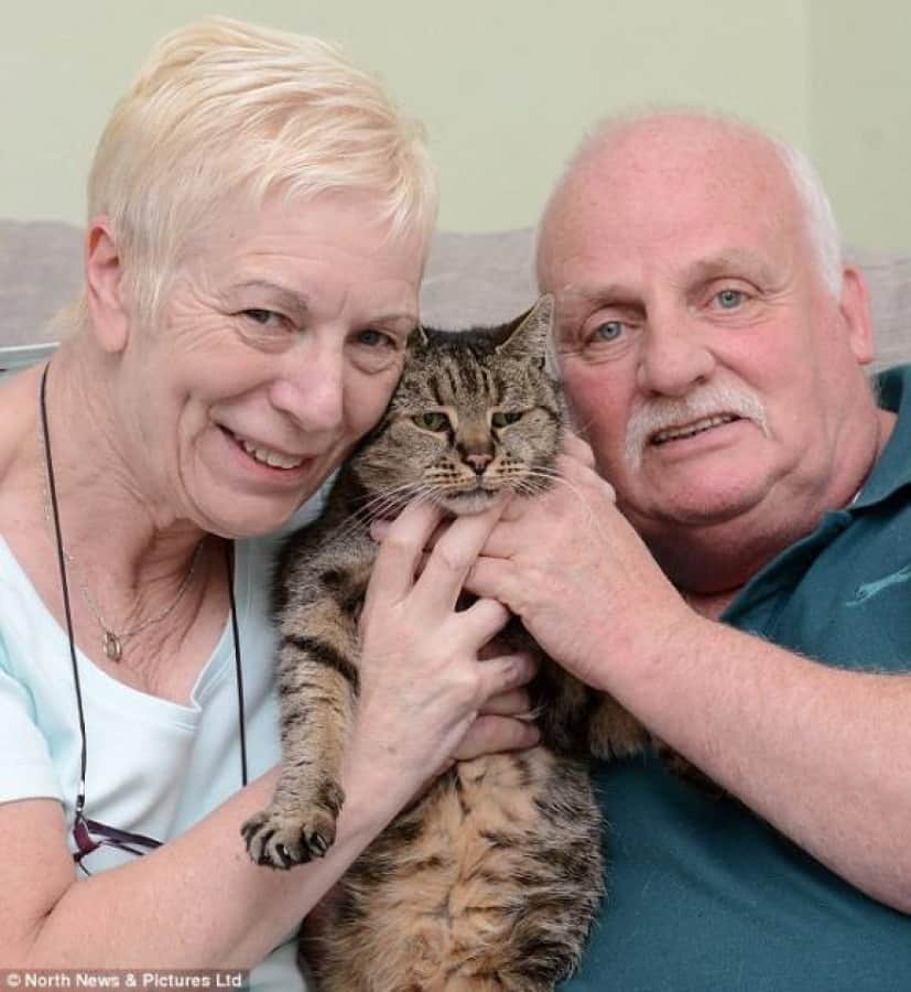 R I P 世界最高齢の猫ナツメグさん 永遠の眠りにつく 享年32歳 カラパイア R I P 世界最高齢の猫ナツメグさん 永遠の眠りにつく 享年32歳 カラパイア
