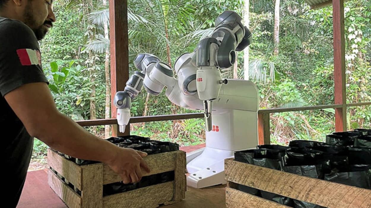 植物の種を植えアマゾンに緑を取り戻す活動のお手伝いをするロボット