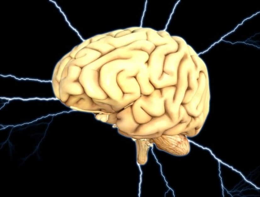 brain-1845940_640_e