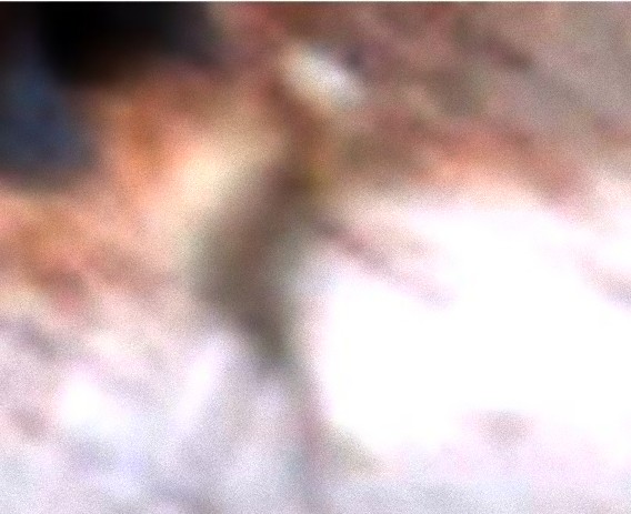 5_e