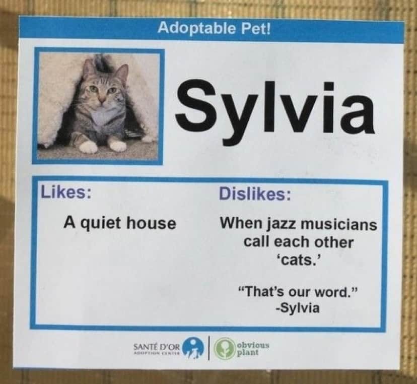 Sylvia_e