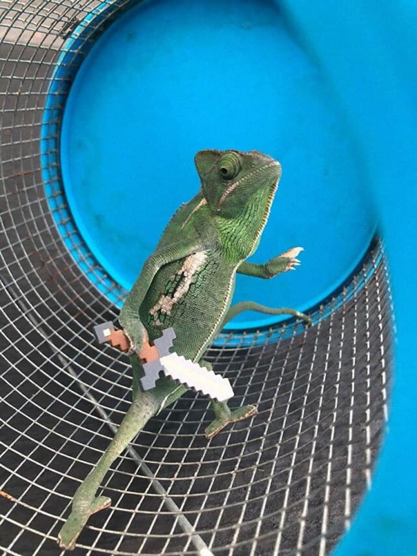 lizard-holding-lego-props-4_e