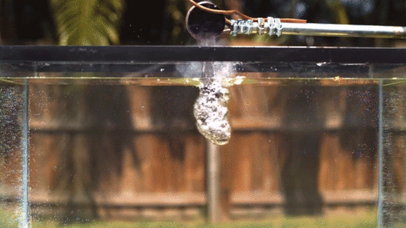 あ 危ないじゃないか 水を張った水槽に融解塩を注ぎ入れるとどうなるのか こうなった カラパイア