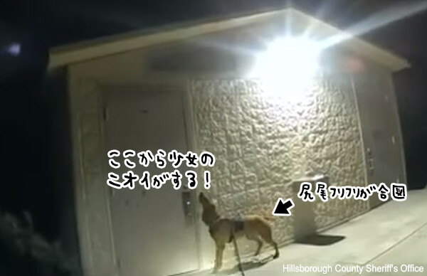 お手柄警察犬！行方不明の少女を発見しキスで少女を慰める
