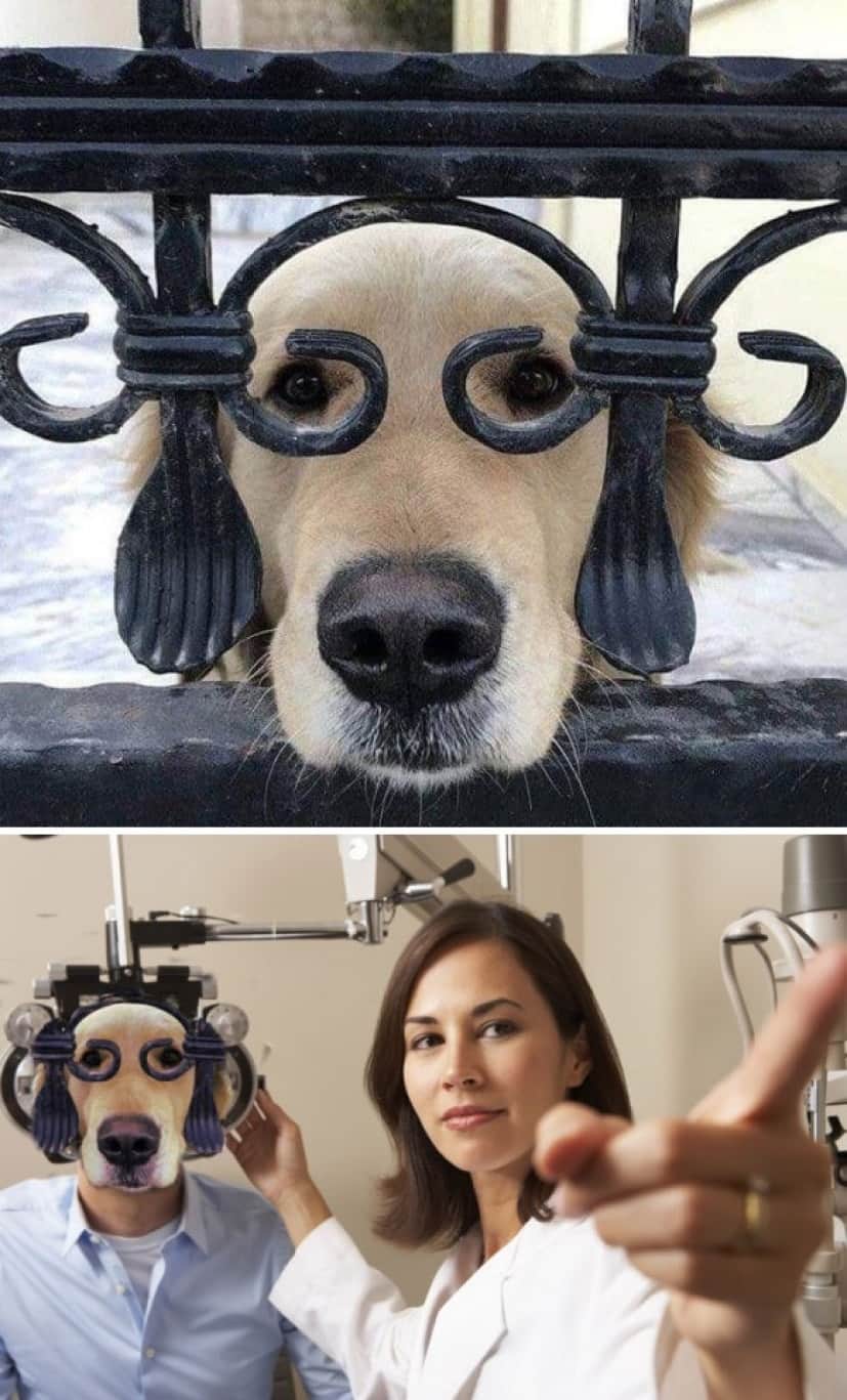 コラ職人が腕を振るう 19年フォトショップバトル優秀作品15 カラパイア