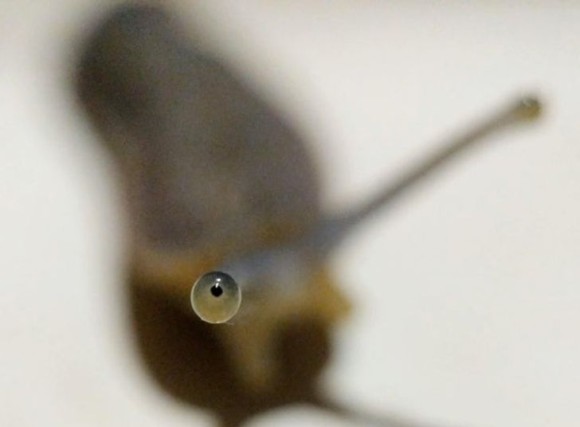 9_e