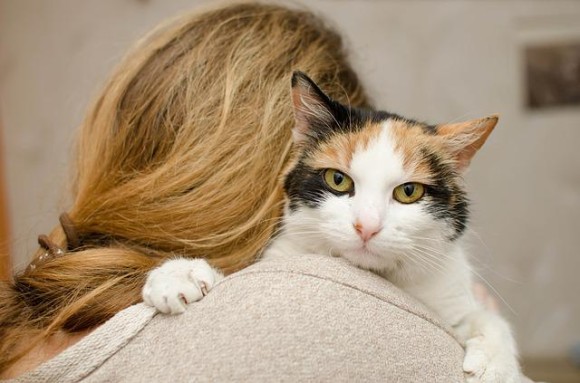 大家にペットを飼うことを拒否されないよう、猫と結婚した女性