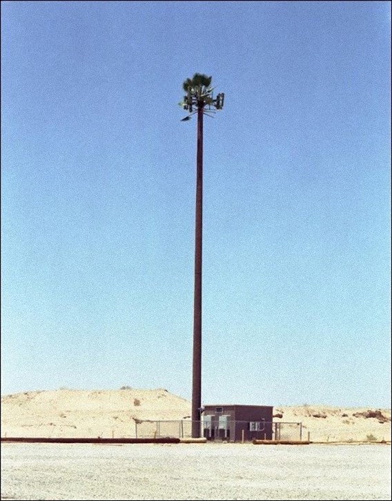 camouflaged_cell_phone_tower_12_e